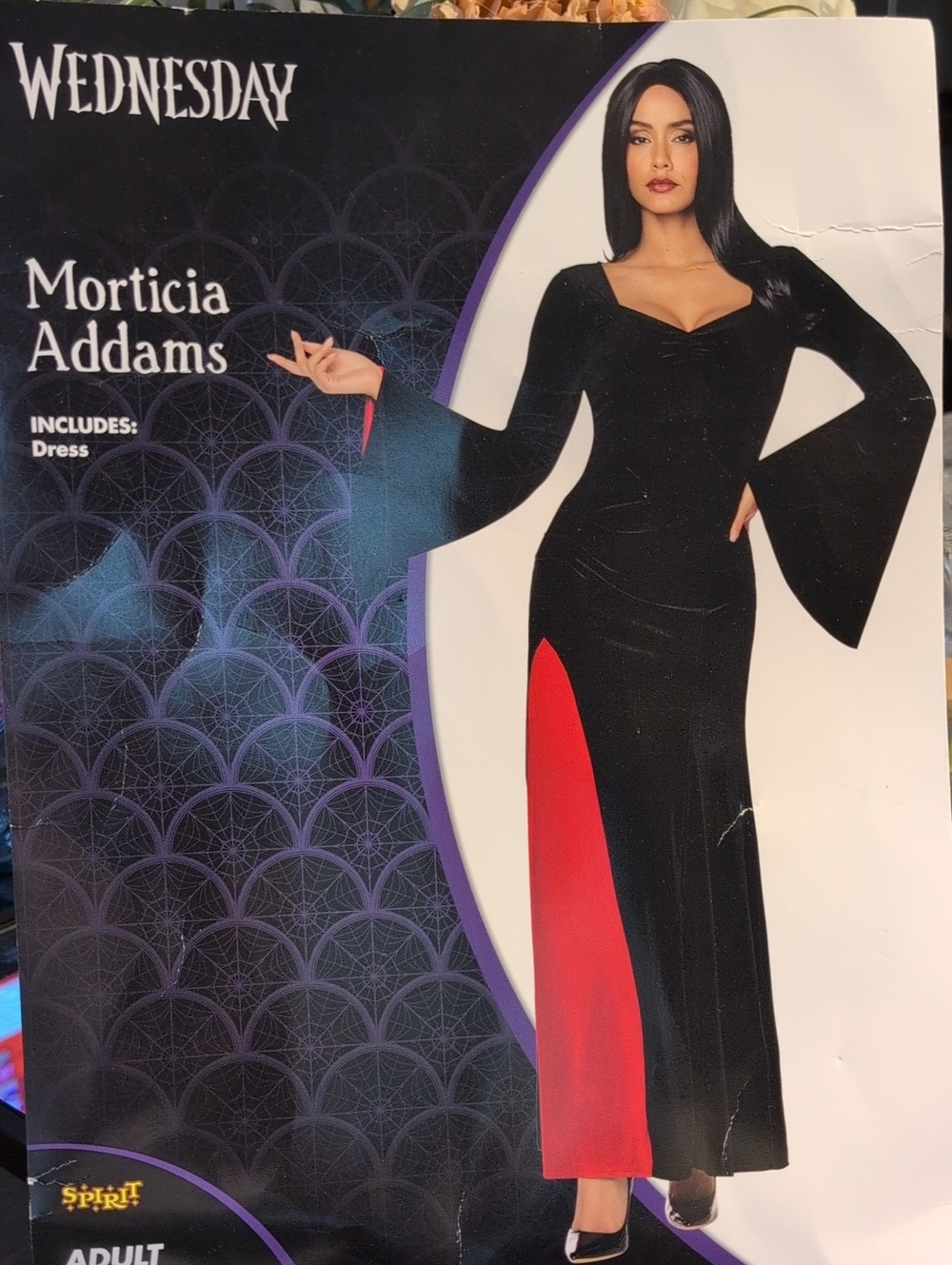 Spirit Women's Black and Red Morticia-Style Maxi Dress